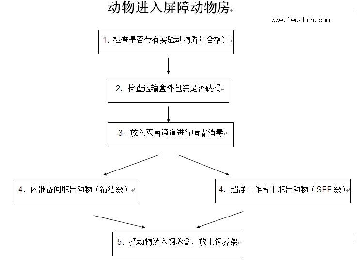 動(dòng)物進(jìn)入屏障動(dòng)物房