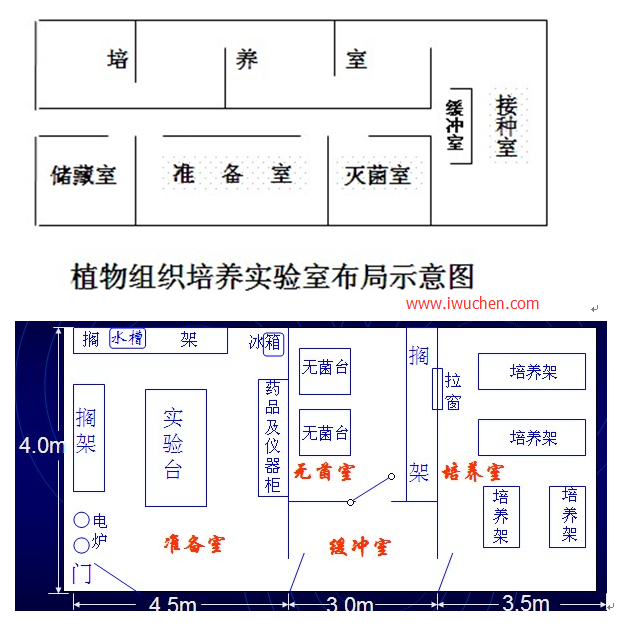 組織培養(yǎng)實驗室布局圖